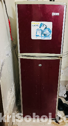 fridge singer